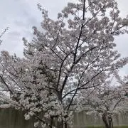 N.127