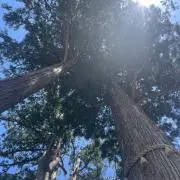 断捨離中の画像