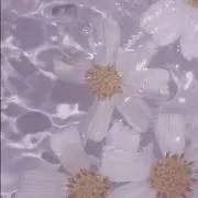 soの画像