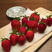 いちこの画像
