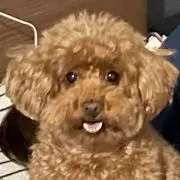 Mtaniの画像