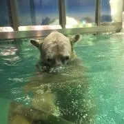3001　プロフ確認お願いします！の画像