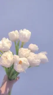 okの画像