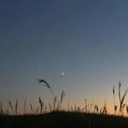 Sijyuurouの画像