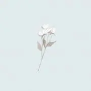ゆうかの画像
