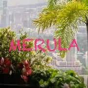 MERULAの画像