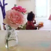 nao-booh