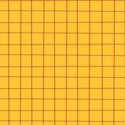 かぼちゃの画像