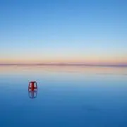 Yuyuの画像