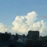 ゆうの画像