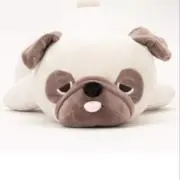 Aiueoの画像