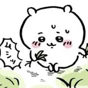 ひまわりの画像