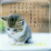 のん