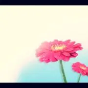 Hanaの画像