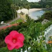 ・:*  風彩。.・*の画像