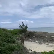 どなるどの画像