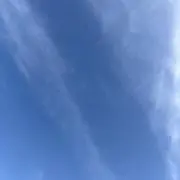 ひかりの画像