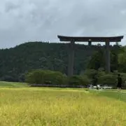 TOYOHAAの画像