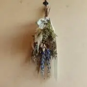♡舞♡