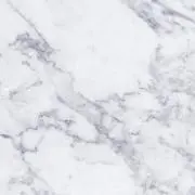 くもの画像