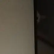 ファム