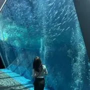 ▲▲の画像