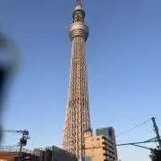 だらおの画像