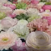 藍