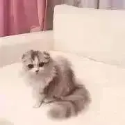 lei ❤︎ 7/4-5発送不可の画像