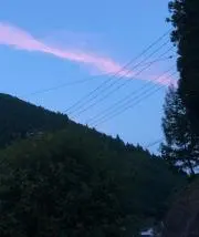 ちゃっぴーの画像