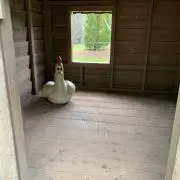 MKの画像