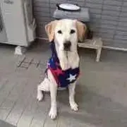 べべべの画像