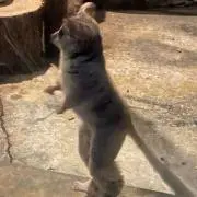 まぁの画像
