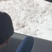 金の画像