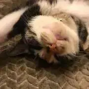 マーサン※値下はプロフ必読お願いします。