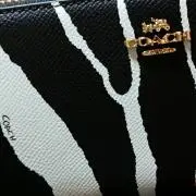 ☆K---R☆の画像
