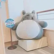 ゆう