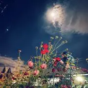 TKの画像