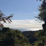 ともの画像