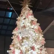 Riyuuuの画像