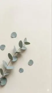 Leeの画像