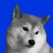 イッヌ