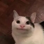 きらきら
