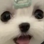 Pgeの画像