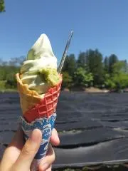 カーの画像