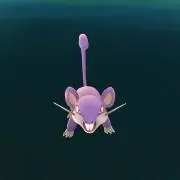 らこった