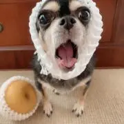 RUNの画像
