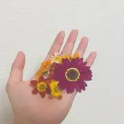 kawak