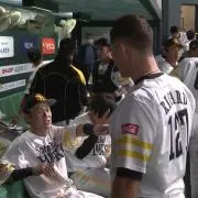 brawnの画像