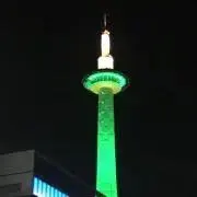 みゃあの画像